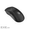 Мишка A4Tech Bloody R73 Ultra Wireless Black (4711421002349)
