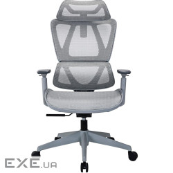 Крісло офісне Officepro Anvio OC590G