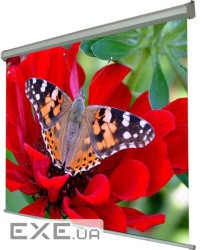 Екран настінний ручний Walfix 72" SNM-1 (110*145, 4:3)