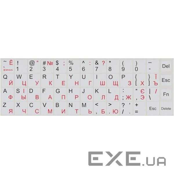 Наклейка на клавіатуру Brain white (STBRNTRWHITE)