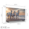 Телевізор THOMSON 55" LED 4K 55UA5S13 Black