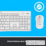 Комплект LOGITECH MK295 Silent Wireless Combo (920-009824)