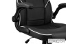 Крісло геймерське 2E GAMING Hebi Black/White (2E-GC-HEB-BKWT)