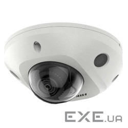 DS-2CD2543G2-IS (4.0)