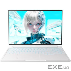 Ноутбук Thunderobot RS16 (RS16-i7136HX56C1Q180RC)