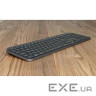 Комплект бездротової LOGITECH MX Keys Combo for Business Gen. 2 Graphite (920-010933)