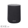 Акустика стационарная Encahnt Speaker Black (HKENCHSPKBLKEP)