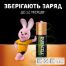 Акумулятор DURACELL HR6 (AA) 1300 mAh (5007321)