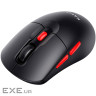 Мишка Havit HV-MS59WB Wireless Black (6939119015879)
