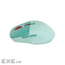 CANYON mouse MW-26 LCD Silent Dual Mode Wireless Green (CNS-CMSW26GR)