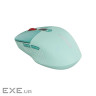 CANYON mouse MW-26 LCD Silent Dual Mode Wireless Green (CNS-CMSW26GR)