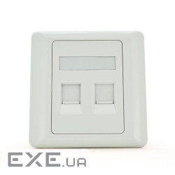 Рамка 86х86 під 2 модулі Keystone Jack RJ-45 кат.5E UTP, 2-port Q100 (F-86х86KJ-2) 86KJ-2)