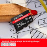 SanDisk Express microSD Card, 256GB (SDSQXFN-256G-GN4NN)