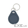 Брелок із чіпом Trinix P-key RW gray