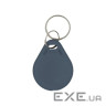 Брелок із чіпом Trinix P-key RW gray