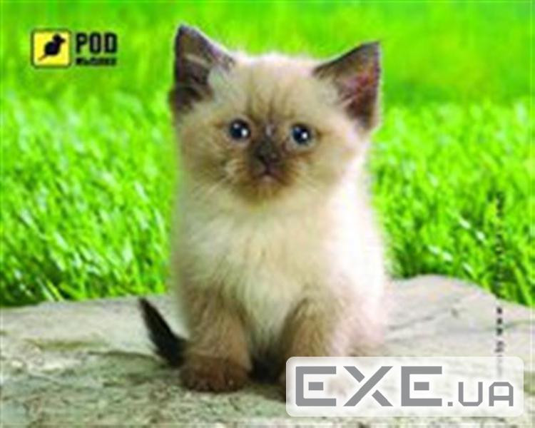 Килимок для мишки Pod Mishkou Сіамський котик (5645489)