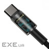 Дата кабель USB-C to USB-C 2.0m 100W black Baseus (CATWJ-A01) (CATWJ-A01 2м)