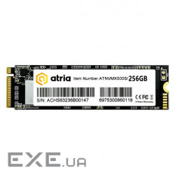 SSD ATRIA MX500S 256GB M.2 NVMe (ATNVMX500S/256)