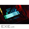 Модуль пам'яті KINGSTON FURY Beast RGB DDR5 5600MHz 64GB Kit 2x32GB (KF556C40BBAK2-64)