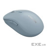 CANYON mouse MW-12 Dual band Wireless Blue (CNS-CMSW12BL)