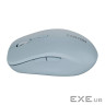 CANYON mouse MW-12 Dual band Wireless Blue (CNS-CMSW12BL)