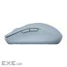 CANYON mouse MW-12 Dual band Wireless Blue (CNS-CMSW12BL)