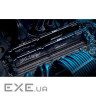 Модуль пам'яті KINGSTON FURY Beast DDR5 5600MHz 64GB Kit 2x32GB (KF556C40BBK2-64)