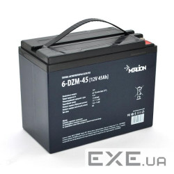 Акумуляторна батарея Merlion 12V 45AH (6-DZM-45/16727) AGM