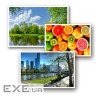 Фотопапір ColorWay A4 230г Glossy 20ст (PG230020A4)