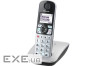 Радіотелефон DECT Panasonic Silver (KX-TGE510RUS)