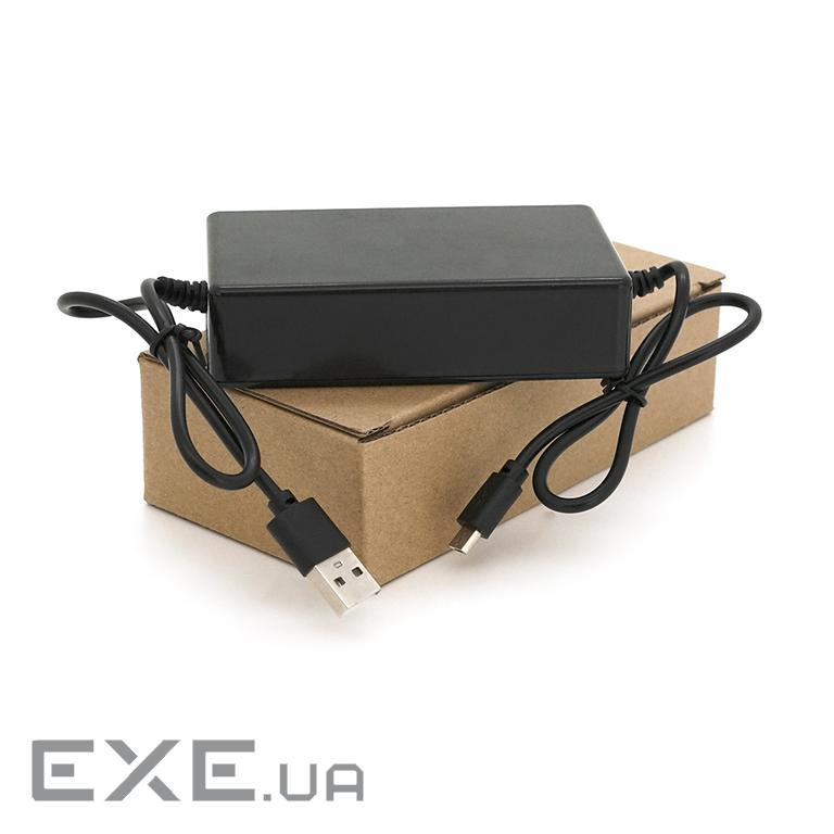 Voltronic Імпульсний блок безперебійного живлення UPS9-4400