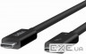 Дата кабель USB-C to USB-C 2.0m Thunderbolt 4 40Gbps 100w black Belkin (INZ002BT2MBK)