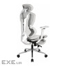 Крісло ігрове GT Racer X-7002 Gray/Gray/Light Gray (X-7002 Gray/Gray/Light Gray (Massage))