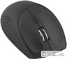 Миша ESPERANZA Andromeda Black (EM123K)