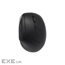 CANYON mouse MW-25 Ergonomic LED AA Dual mode Wireless Black (CNS-CMSW25)