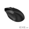 CANYON mouse MW-25 Ergonomic LED AA Dual mode Wireless Black (CNS-CMSW25)