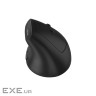 CANYON mouse MW-25 Ergonomic LED AA Dual mode Wireless Black (CNS-CMSW25)