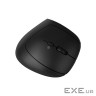 CANYON mouse MW-25 Ergonomic LED AA Dual mode Wireless Black (CNS-CMSW25)