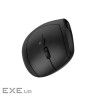 CANYON mouse MW-25 Ergonomic LED AA Dual mode Wireless Black (CNS-CMSW25)