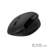 CANYON mouse MW-25 Ergonomic LED AA Dual mode Wireless Black (CNS-CMSW25)