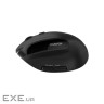CANYON mouse MW-25 Ergonomic LED AA Dual mode Wireless Black (CNS-CMSW25)