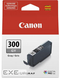 Cartridge Canon PFI-300 Grey (4200C001)