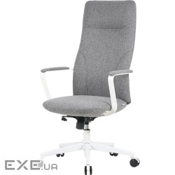 Офісне крісло OfficePro Shift OC545DG Dark Gray