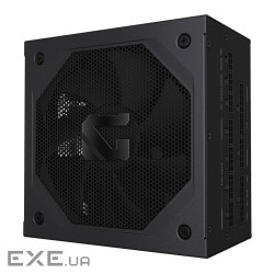 Блок питания Gigabyte Gaming 1000GM PG5 1000W (GP-GME1000GM PG5)