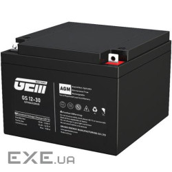 Акумуляторна батарея GEM Battery 12V, 30.0A, AGM (GS 12-30)