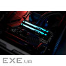 Модуль пам'яті KINGSTON FURY Beast RGB EXPO Black DDR5 6000MHz 32GB (KF560C36BBE2A-32)