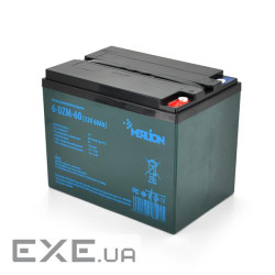 Акумуляторна батарея Merlion 12V 60AH (6-DZM-60/18091) AGM