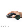 Миша UGREEN MU006 Ergonomic Wireless Black (15063)