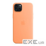 iPhone 15 Plus Silicone Case with MagSafe - Orange Sorbet,Model A3124 (MT173ZM/A)
