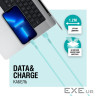 Кабель ACCLAB AL-CBCOLOR-L1MT USB - Lightning (M/M), 1.2 м , Mint (1283126518195)